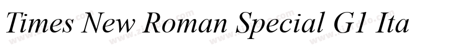 Times New Roman Special G1 Italic字体转换
